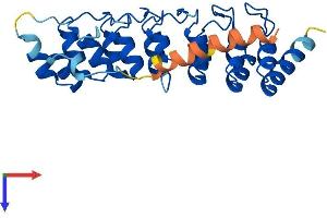 AlphaFold protein structure predicition of Human Recombinant ANKRD19P Protein, UniprotID Q9H560