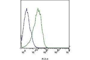 Mouse liver cells probed with Rabbit Anti- Scavenger receptor class B member 1 Polyclonal Antibody (ABIN738936) at 1:100 for 60 minutes followed by incubation with Goat Anti-Rabbit IgG PE conjugated secondary  at 1:100 (green) for 40 minutes compared to control cells (blue). (SCARB1 anticorps  (AA 21-100))