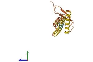 AlphaFold protein structure predicition of Human Recombinant LINC01559 Protein, UniprotID Q495D7