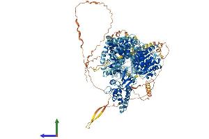 AlphaFold protein structure predicition of Human Recombinant DHX29 Protein, UniprotID Q7Z478