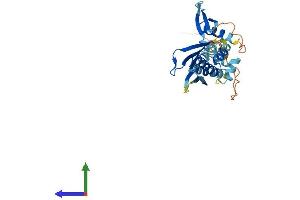 AlphaFold protein structure predicition of Human Recombinant PRKRA Protein, UniprotID O75569