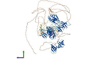 AlphaFold protein structure predicition of Human Recombinant SUPT5H Protein, UniprotID O00267