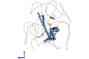 AlphaFold protein structure predicition of Mouse Recombinant Caprin2 Protein, UniprotID Q05A80