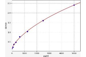 Typical standard curve (TGFBR2 Kit ELISA)