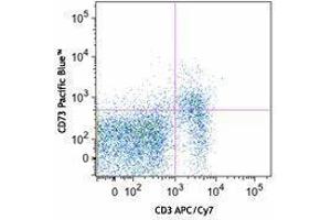 Flow Cytometry (FACS) image for anti-5'-Nucleotidase, Ecto (CD73) (NT5E) antibody (Pacific Blue) (ABIN2662306) (CD73 anticorps  (Pacific Blue))