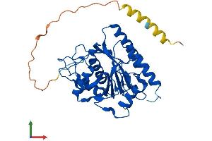 AlphaFold protein structure predicition of Mouse Recombinant B3galt1 Protein, UniprotID O54904