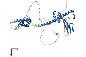 AlphaFold protein structure predicition of Human Recombinant TFDP1 Protein, UniprotID Q14186