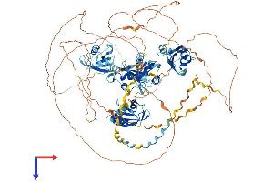 AlphaFold protein structure predicition of Mouse Recombinant Rbm12 Protein, UniprotID Q8R4X3