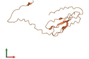 AlphaFold protein structure predicition of Human Recombinant KRTAP2-4 Protein, UniprotID Q9BYR9