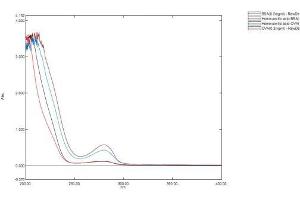 Image no. 1 for Homovanillic Acid (HVA) protein (BSA) (ABIN1880189) (Homovanillic Acid Protein (HVA) (BSA))