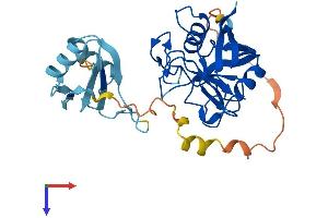AlphaFold protein structure predicition of Mouse Recombinant Ppie Protein, UniprotID Q9QZH3