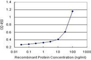 HOOK1 (Human) Matched Antibody Pair