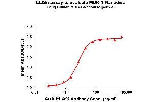 Elisa plates were pre-coated with Flag Tag MDR-1-Nanodisc (0.
