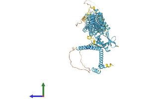 AlphaFold protein structure predicition of Mouse Recombinant Exoc8 Protein, UniprotID Q6PGF7
