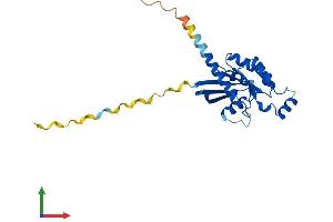 AlphaFold protein structure predicition of Mouse Recombinant Rhov Protein, UniprotID Q8VDU1