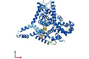 AlphaFold protein structure predicition of Human Recombinant TBC1D19 Protein, UniprotID Q8N5T2