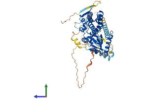 AlphaFold protein structure predicition of Mouse Recombinant Pi4k2a Protein, UniprotID Q2TBE6