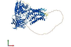 AlphaFold protein structure predicition of Human Recombinant ERMP1 Protein, UniprotID Q7Z2K6