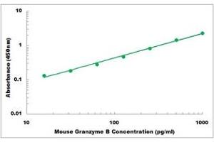 Representative Standard Curve (GZMB Kit ELISA)