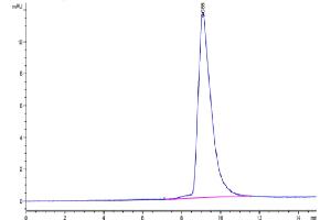 The purity of Mouse ANTXR2 is greater than 95 % as determined by SEC-HPLC.