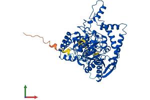 AlphaFold protein structure predicition of Human Recombinant QRSL1 Protein, UniprotID Q9H0R6