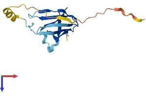 AlphaFold protein structure predicition of Human Recombinant VHLL Protein, UniprotID Q6RSH7