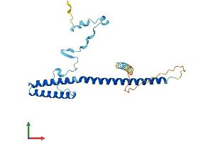 AlphaFold protein structure predicition of Human Recombinant MED7 Protein, UniprotID O43513