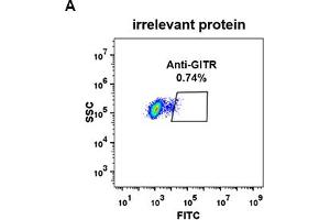 Expi 293 cell line transfected with irrelevant protein  (A) and human GITR  (B) were surface stained with Rabbit anti-GITR monoclonal antibody 1 μg/mL  (clone: DM78) followed by Alexa 488-conjugated anti-rabbit IgG secondary antibody.