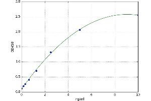 Ectodysplasin A (EDA) ELISA Kit