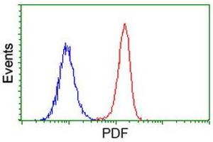 Image no. 2 for anti-Growth Differentiation Factor 15 (GDF15) antibody (ABIN1500099) (GDF15 anticorps)