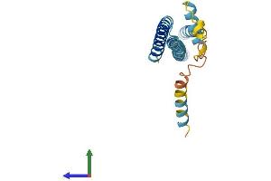 AlphaFold protein structure predicition of Mouse Recombinant Chmp1a Protein, UniprotID Q921W0
