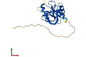 AlphaFold protein structure predicition of Human Recombinant NUDT4 Protein, UniprotID Q9NZJ9