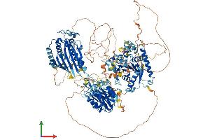 AlphaFold protein structure predicition of Human Recombinant PITPNM1 Protein, UniprotID O00562