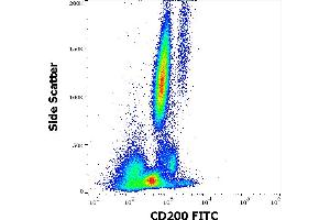 Flow cytometry surface staining pattern of human peripheral whole blood stained using anti-human CD200 (OX-104) FITC antibody (4 μL reagent / 100 μL of peripheral whole blood). (CD200 anticorps  (FITC))