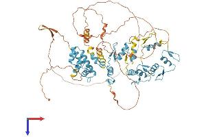 AlphaFold protein structure predicition of Human Recombinant ZNF202 Protein, UniprotID O95125