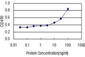 Sandwich ELISA detection sensitivity ranging from 3 ng/mL to 100 ng/mL. (ZNF511 (Humain) Matched Antibody Pair)