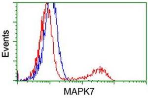 Flow Cytometry (FACS) image for anti-Mitogen-Activated Protein Kinase 12 (MAPK12) antibody (ABIN1499304) (MAPK12 anticorps)