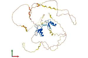 AlphaFold protein structure predicition of Mouse Recombinant Gata3 Protein, UniprotID P23772