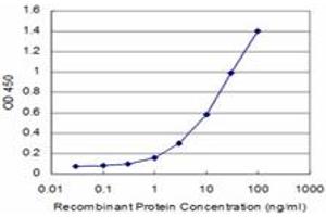 Detection limit for recombinant GST tagged CARF is approximately 1ng/ml as a capture antibody. (CDKN2AIP anticorps  (AA 1-579))