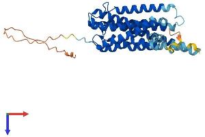 AlphaFold protein structure predicition of Mouse Recombinant Gpr12 Protein, UniprotID P35412