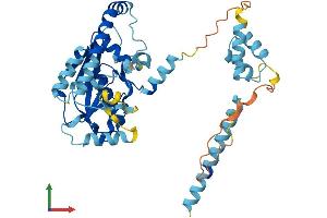 AlphaFold protein structure predicition of Mouse Recombinant Aup1 Protein, UniprotID P70295