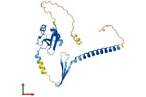AlphaFold protein structure predicition of Mouse Recombinant Cidec Protein, UniprotID P56198