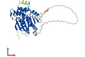 AlphaFold protein structure predicition of Mouse Recombinant Ndrg4 Protein, UniprotID Q8BTG7