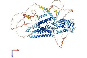 AlphaFold protein structure predicition of Mouse Recombinant Rhbdf1 Protein, UniprotID Q6PIX5