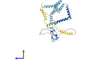 AlphaFold protein structure predicition of Human Recombinant ZFYVE27 Protein, UniprotID Q5T4F4