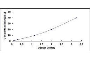 Typical standard curve (Lactoferrin Kit ELISA)