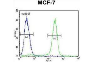 Flow cytometric analysis of MCF-7 cells using Otopetrin-3 Antibody (C-term) Cat. (OTOP3 anticorps  (C-Term))