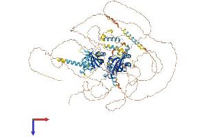 AlphaFold protein structure predicition of Mouse Recombinant Per3 Protein, UniprotID O70361