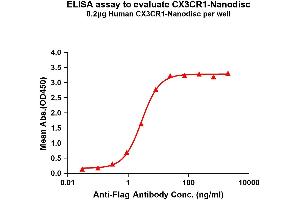 Elisa plates were pre-coated with Flag Tag CX3CR1-Nanodisc (0.