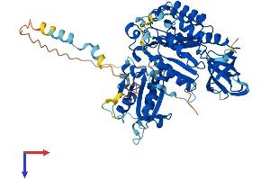 AlphaFold protein structure predicition of Mouse Recombinant Cdk5rap1 Protein, UniprotID Q8BTW8